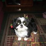 Janice Martin Spurlock - @janicemartinspurlock - Instagram