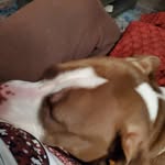 Janice Stanger - @stanger.janice - Instagram