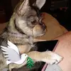 janicestanley273 - @janicestanley273 - TikTok