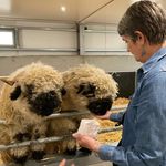 Janice Starkey - @janstarkey - Instagram
