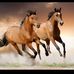 Janice StClair - Facebook