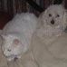Janice Steen - Facebook