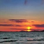 Janice Steiner - @steiner1678 - Instagram