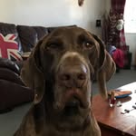 Janice.stephen - @smilleandworrysomeone - Instagram