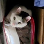 Janice Stinson - @stinsonjanice3944 - Instagram
