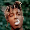 JaniceStuart - @jamiljuf0c7 - TikTok