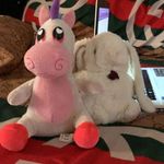Janice Suggs - @janicesuggs775522 - Instagram