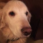 Janice Sumner - @sumner.janice - Instagram