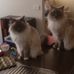 Janice Sutton - Facebook