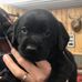 Janice Swenson - Facebook