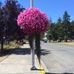 Janice Swenson - Facebook