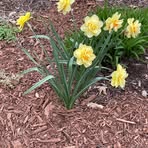 Janice Severson - Facebook