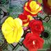Janice Talento - Facebook