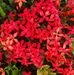 Janice Thacker - Facebook