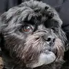 Janice Thiel - @janice.thiel7 - TikTok