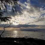 Janice Tindall - @jstlib47 - Instagram