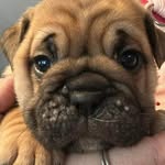 Janice Tobin - @janicetobin27 - Instagram