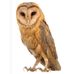 Janice Towns - Facebook