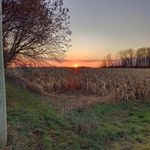 Janice Townsend - @janicetownsend61 - Instagram