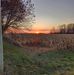 Janice Townsend - Facebook