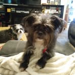 Janice Triplett - Facebook