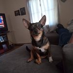Janice Triplett - @triplett6141 - Instagram