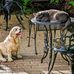 Janice Vance - Facebook