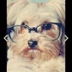 Janice Vang - @janicevang651 - Instagram