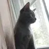 Janice Vaughan - @janice.vaughan5 - TikTok