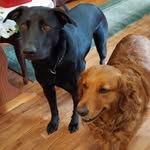 Janice Vernon - @mamaj5962 - Instagram