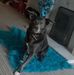 Janice Vest - Facebook