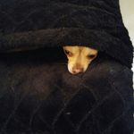 Janice Walter - @janice.walter.562 - Instagram