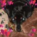 Janice Walter - Facebook