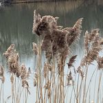 Janice Walter-Ferrick - @ferrick5 - Instagram