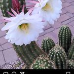 Janice Weiner - @janice_weiner - Instagram