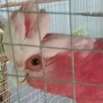 Janice Weinert - @weinertjanice - Instagram