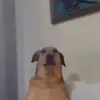 janicewieners - @janicewieners - TikTok