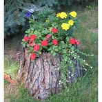 Janice Wheaton - Facebook
