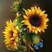 Janice Whitcomb - Facebook