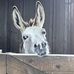 Janice Wildermuth - Facebook