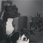 @janicewillow96 - Instagram
