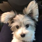 Janice Wimmer-Day - @wimmerday - Instagram