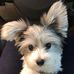 Janice Wimmer-Day - Facebook