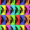 JaniceWingelPerez - @janicewingelpere - TikTok