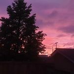 Janice Wirth - @jazzyyy_janice - Instagram