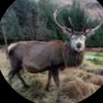Janice Waddell Witkowski - @janicewitkowski1 - Instagram