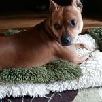 Janice Woolley - @jsjwoolley - Instagram