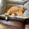 janiceworsham958 - @janiceworsham958 - TikTok