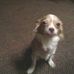 Janice Worth - Facebook
