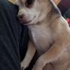 Janice Worthy - @janice.worthy - TikTok